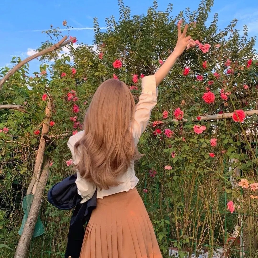 洛杉矶捣蛋计划